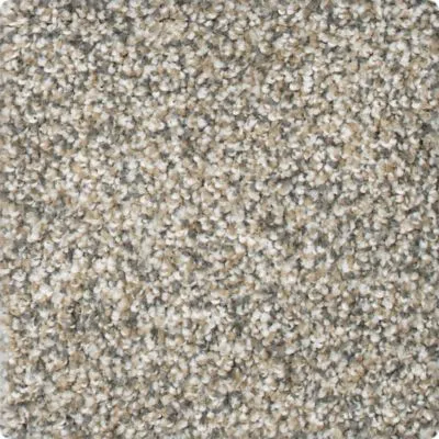 Karastan FascinatingAllure - Roberts Carpet & Fine Floors