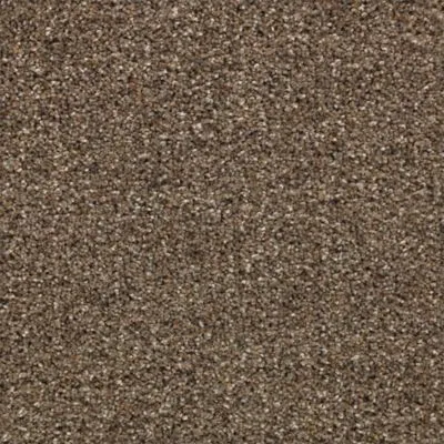 Karastan RusticAppeal - Roberts Carpet & Fine Floors