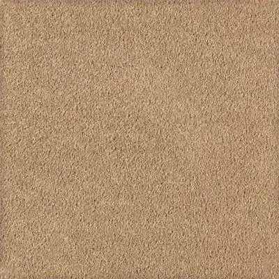 Karastan SoothingObsession - Roberts Carpet & Fine Floors