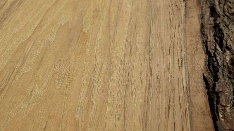 Long Lasting Materials - Roberts Carpet & Fine Floors