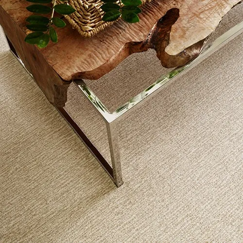NEW WAVE ZZ056 WINDSWEPT 00222 H - Roberts Carpet & Fine Floors