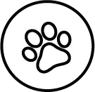 PET - Roberts Carpet & Fine Floors