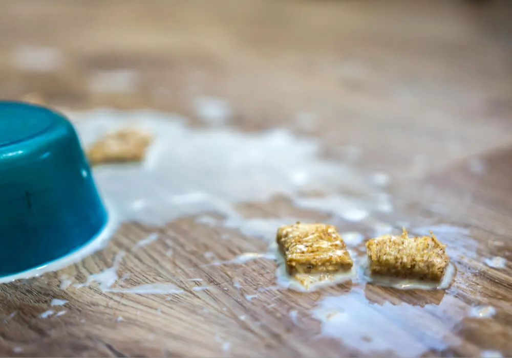 Vinyl Spills - Roberts Carpet & Fine Floors