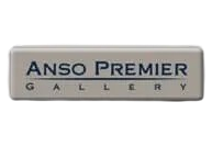 anso premier flooring logo removebg preview e1774000731291 - Roberts Carpet & Fine Floors