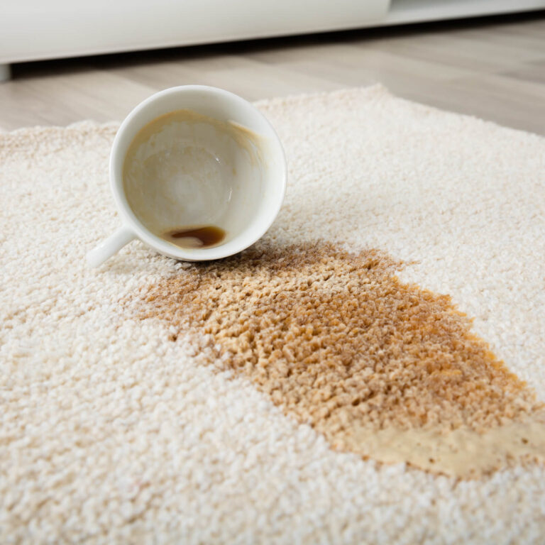 blog 151 carpetcleaning51600x16001 - Roberts Carpet & Fine Floors