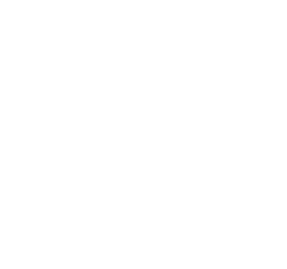 nfa logo white - Roberts Carpet & Fine Floors